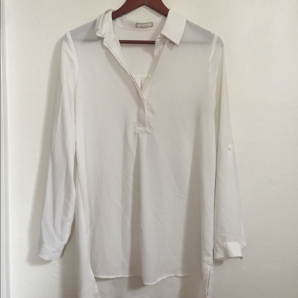 Sheer white pleione blouse